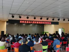 西峽縣標(biāo)桿幼兒園雙重預(yù)防體系培訓(xùn)會
